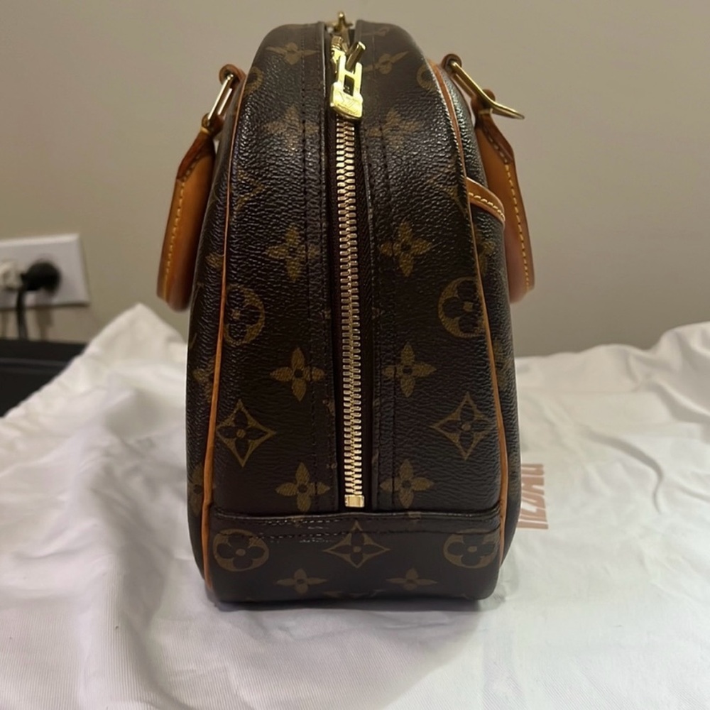 Louis Vuitton Brown and Tan Satchel
